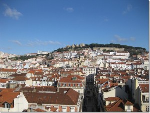 IMG_2977_thumb.jpg