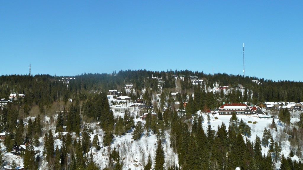 Oslo Forest Skyline
