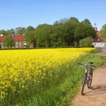 Helsingborg Countryside