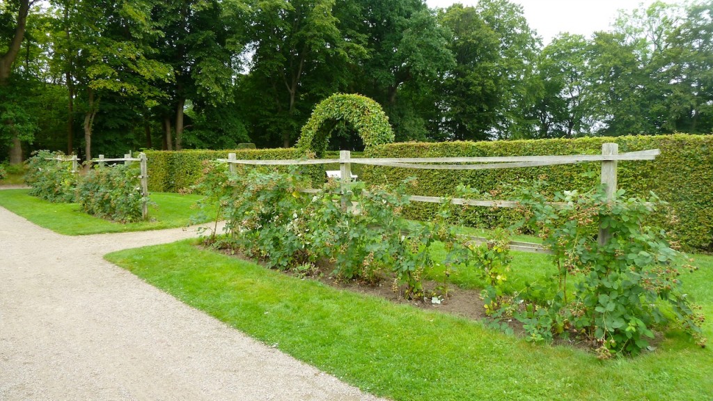 Gardens of Sofiero Gardens of Sofiero