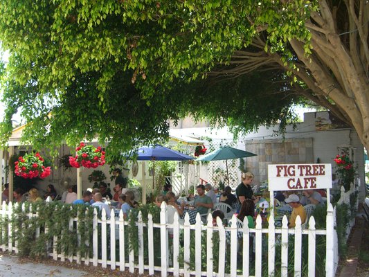 FigTreeCafe