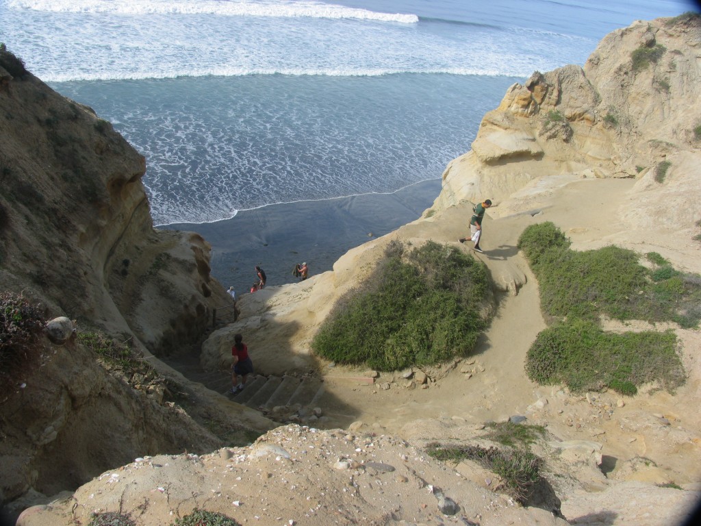 Torrey Pines