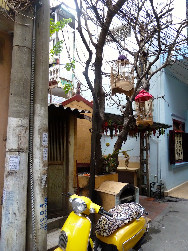 Birdcages